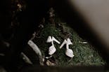 Bridal shoes set in the garden lawn