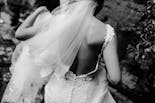 Back of the bride's dress